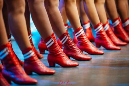 DL8_8714-Verbessert-RR