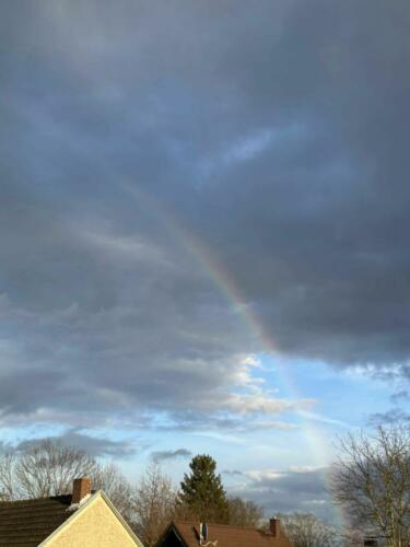 426354414 777377824420482 6620509377310545241 n