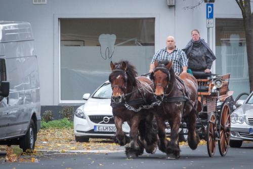 DreigestirnGleuelHofburgeinweihung022