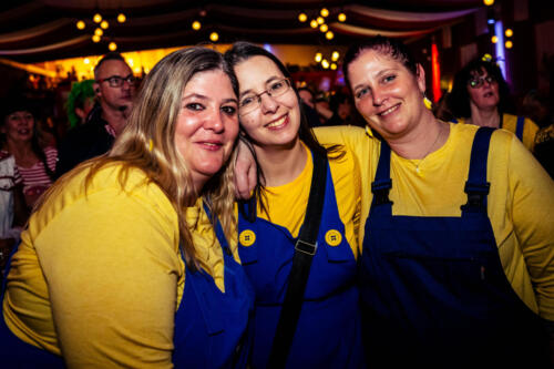 SitzungDl 1113DL1 1972