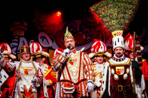 SitzungDl 119DL8 1160